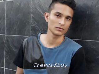 TrevorXboy