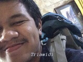 Triawidi