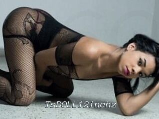 tsDOLL12inchz Tel 69 Salopes