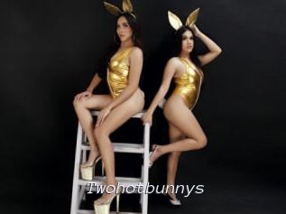 Twohotbunnys