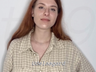 Udelaagard