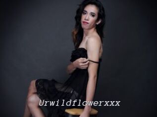 Urwildflowerxxx