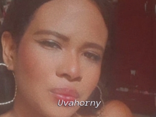 Uvahorny