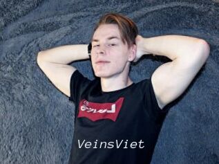 VeinsViet