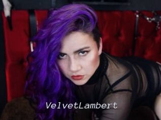 VelvetLambert