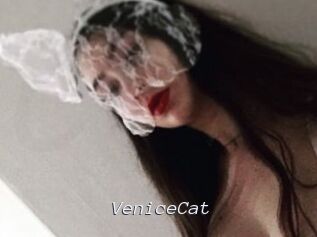VeniceCat