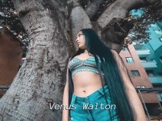 Venus_Walton