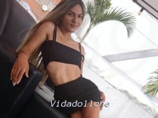 Vidadollche