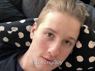 VikingBoy