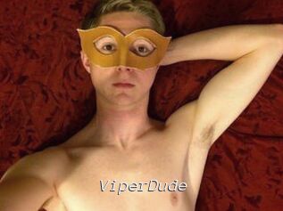 ViperDude