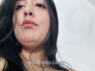Vaneholmes