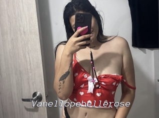Vanellopebellerose