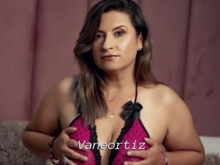 Vaneortiz