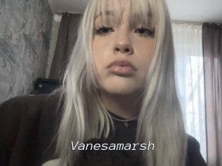 Vanesamarsh