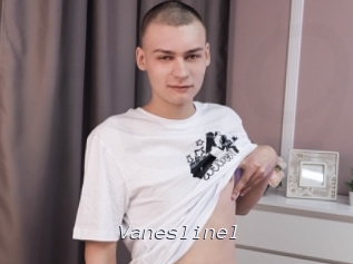 Vaneslinel