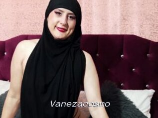 Vanezacosmo