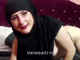 Vanezadina