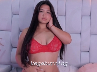 Vegaburning