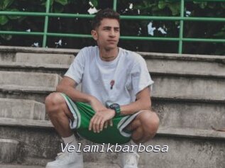 Velamikbarbosa