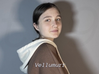 Vellumurr