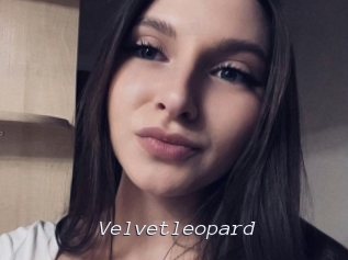 Velvetleopard