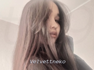 Velvettneko