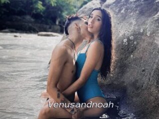 Venusandnoah