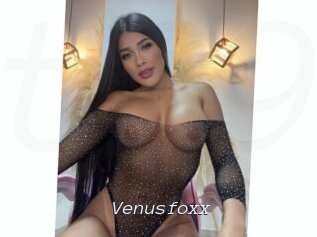 Venusfoxx