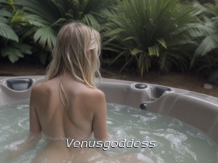 Venusgoddess