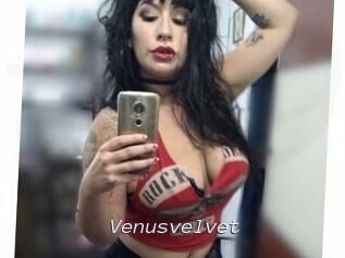 Venusvelvet