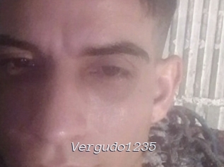 Vergudo1235