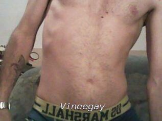 Vincegay