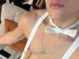 Vincentbunny