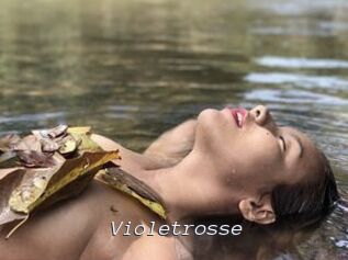 Violetrosse