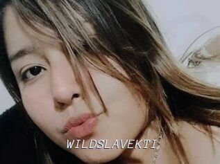 WILDSLAVEKTI