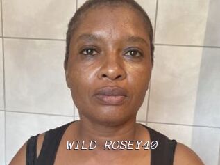 WILD_ROSEY40