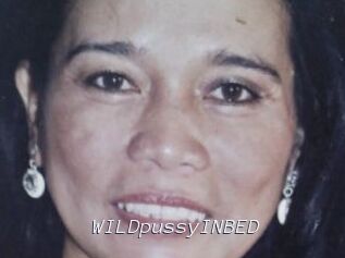 WILDpussyINBED
