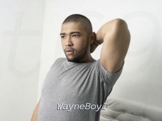 WayneBoyI