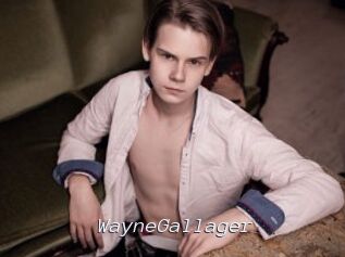 WayneGallager