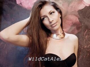 WildCatAlex