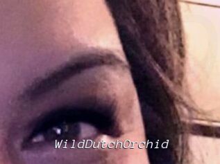 WildDutchOrchid