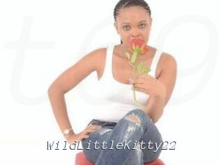 WildLittleKitty22