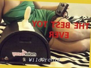 WildOrchid_
