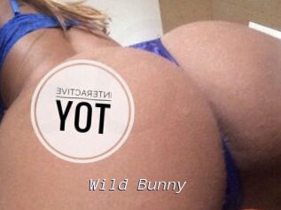 Wild_Bunny_