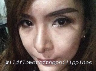 Wildflowerofthephilippines