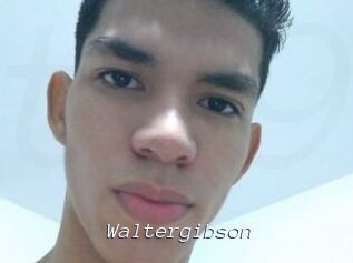 Waltergibson