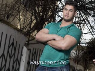 Waynneprice