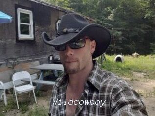 Wildcowboy