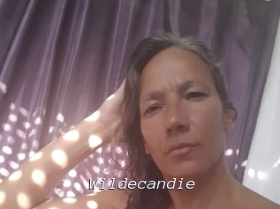 wildecandie Tel 69 Salopes