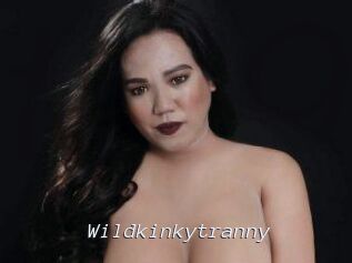 Wildkinkytranny